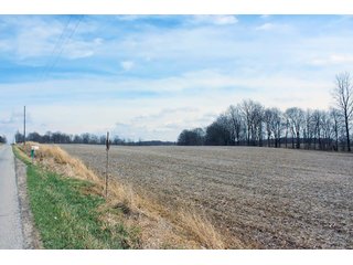 Property photo 8 - REAL ESTATE AUCTION - 17.62+/- ACRES OFFERED IN 2 TRACTS